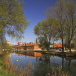 Imagen de la dársena del Canal, en la capital palentina.