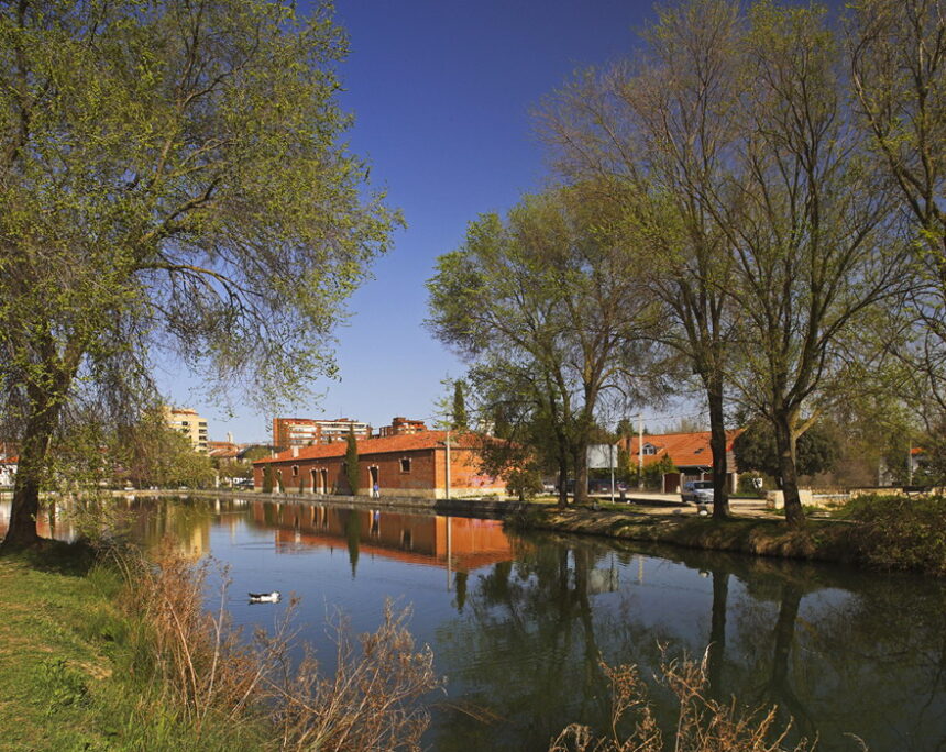 Imagen de la dársena del Canal, en la capital palentina.