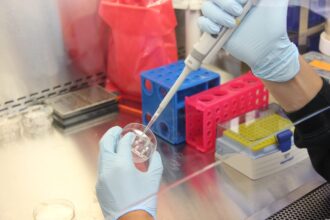 Manos que sujetan material de laboratorio