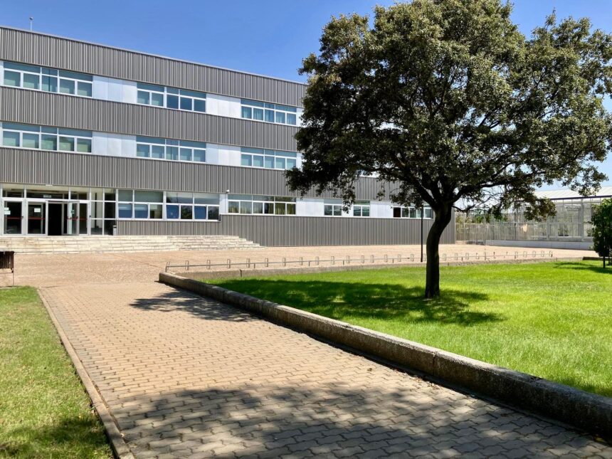 Fachada gris de un edificio con muchas ventanas con un árbol en primer plano