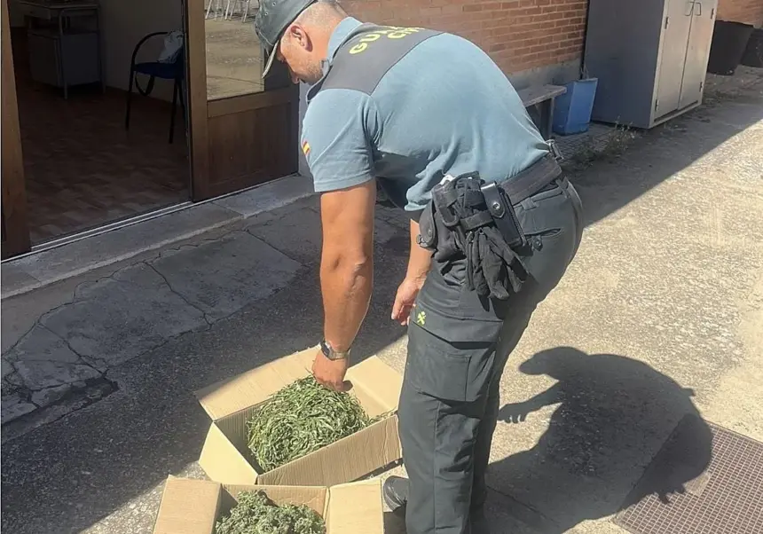 Un guardia civil se agacha ante una caja de carton llena de marihuana