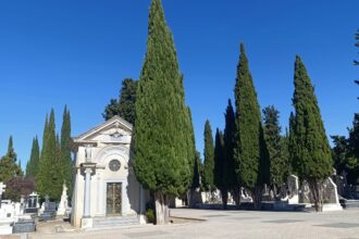 Tumbas y cipreses en el cementerio de Palencia.